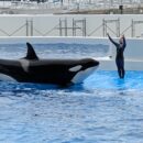 🐬神戸須磨シーワールド🐬