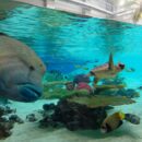 グループ外出　第 3 弾🐬