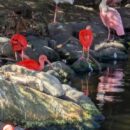 大地の家グループ外出2025～神戸どうぶつ王国・垂水アウトレット編～