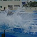 グループ外出　第 4 弾🐧