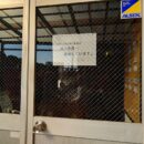 避 難 訓 練🧯& 地 域 交 流!