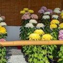 個別外出!11月編☆彡