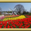 個別外出！１０月編☆彡