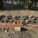 あの人だかりは一体．．．