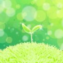 一年を振り返って