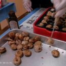 パーティーしたよ！