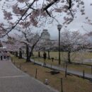 年度末の外出レク🌸サポートセンター曙