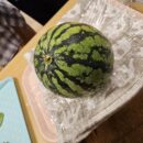 夏の風物詩🍉
